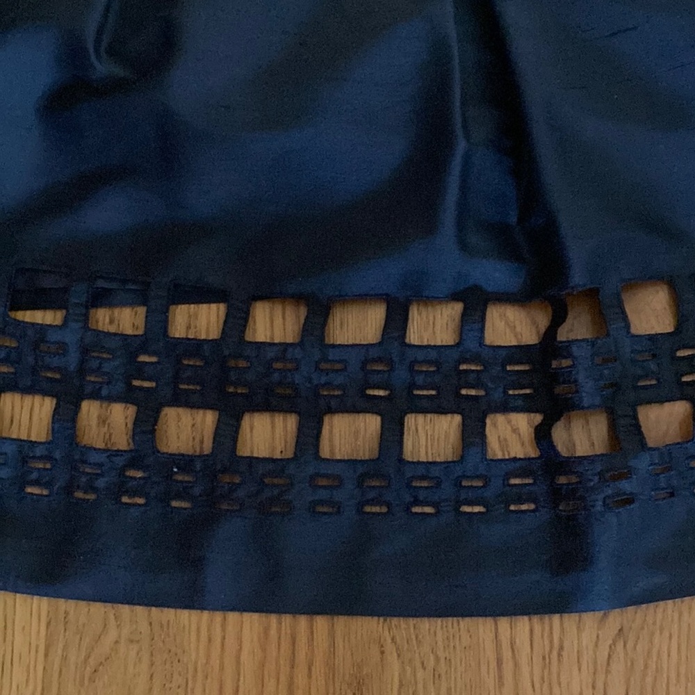 Talbots Pure Silk Pleated Skirt With Cut Out Hem Size 4 EUC - Picture 6 of 11